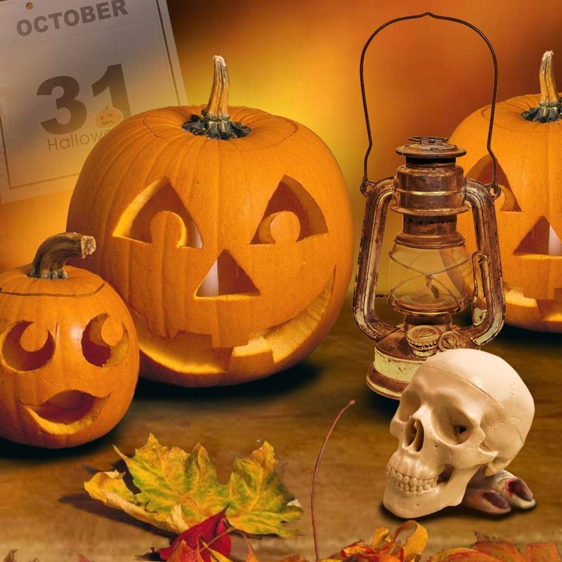 EVOTECH SCIENTIFIC Mini Human Skull Model, 3 Parts Palm-Sized Anatomy Skull Model with Removable Skull Cap & Full Set Teeth, School Teaching-Learning Tool, Fun Decorations Halloween Decorations Pirate Themed Decorations - Image 3